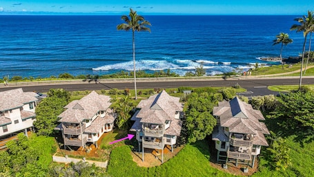 Exterior. The Palm Treehouse: Serene retreat with simultaneous mountain and ocean views