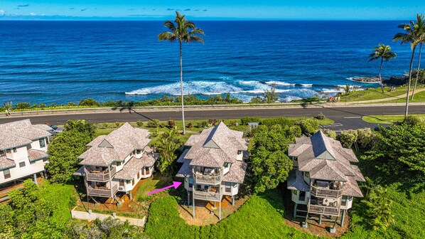 Exterior - The Palm Treehouse: Serene retreat with simultaneous mountain and ocean views (Princeville)