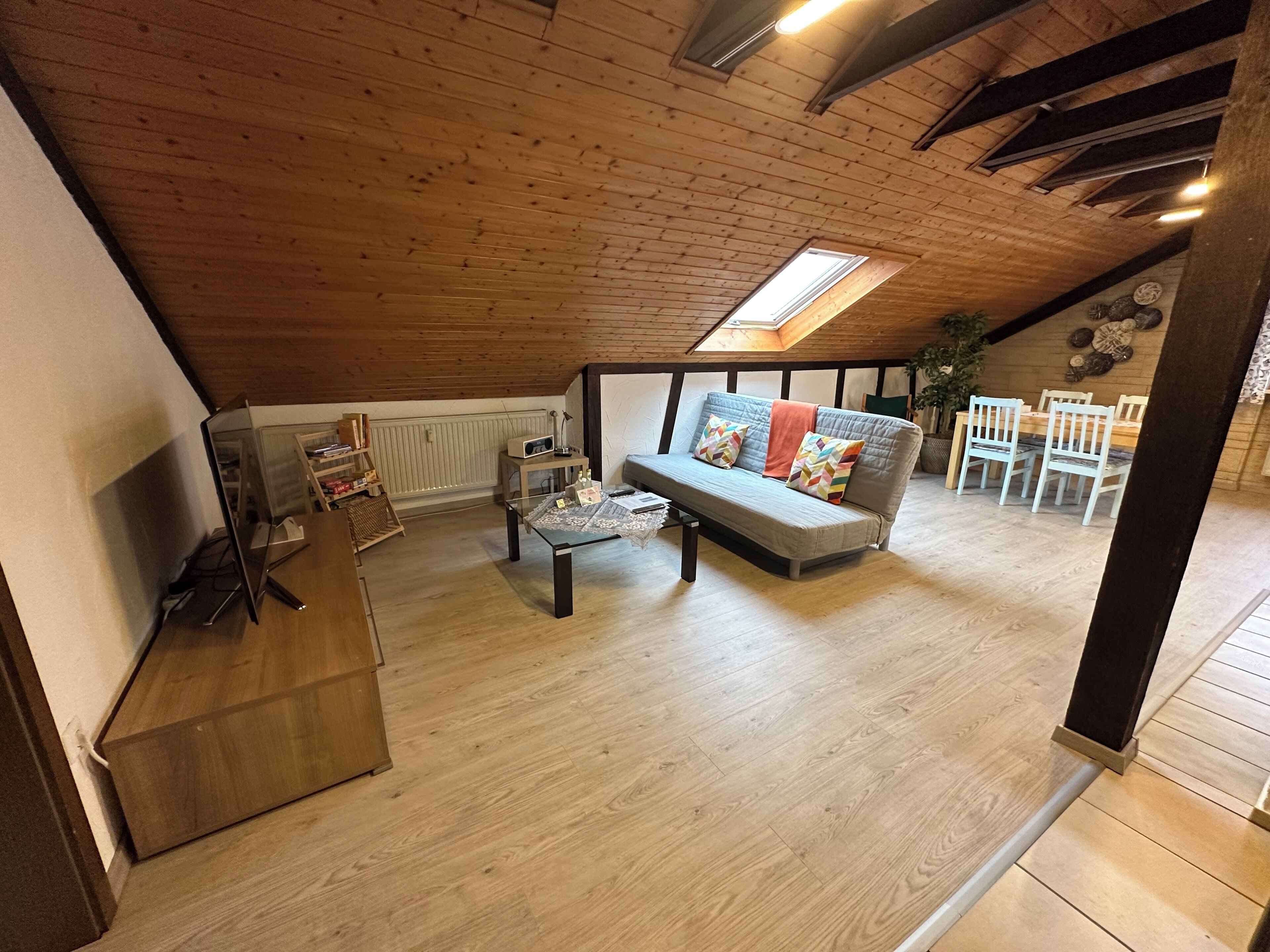 Smart TV, DVD player, books