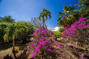 Property grounds - Welcome (Case-Pilote)