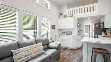 TV connectée, cheminée, lecteur de DVD