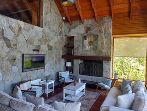 Smart TV, fireplace, books, computer monitors