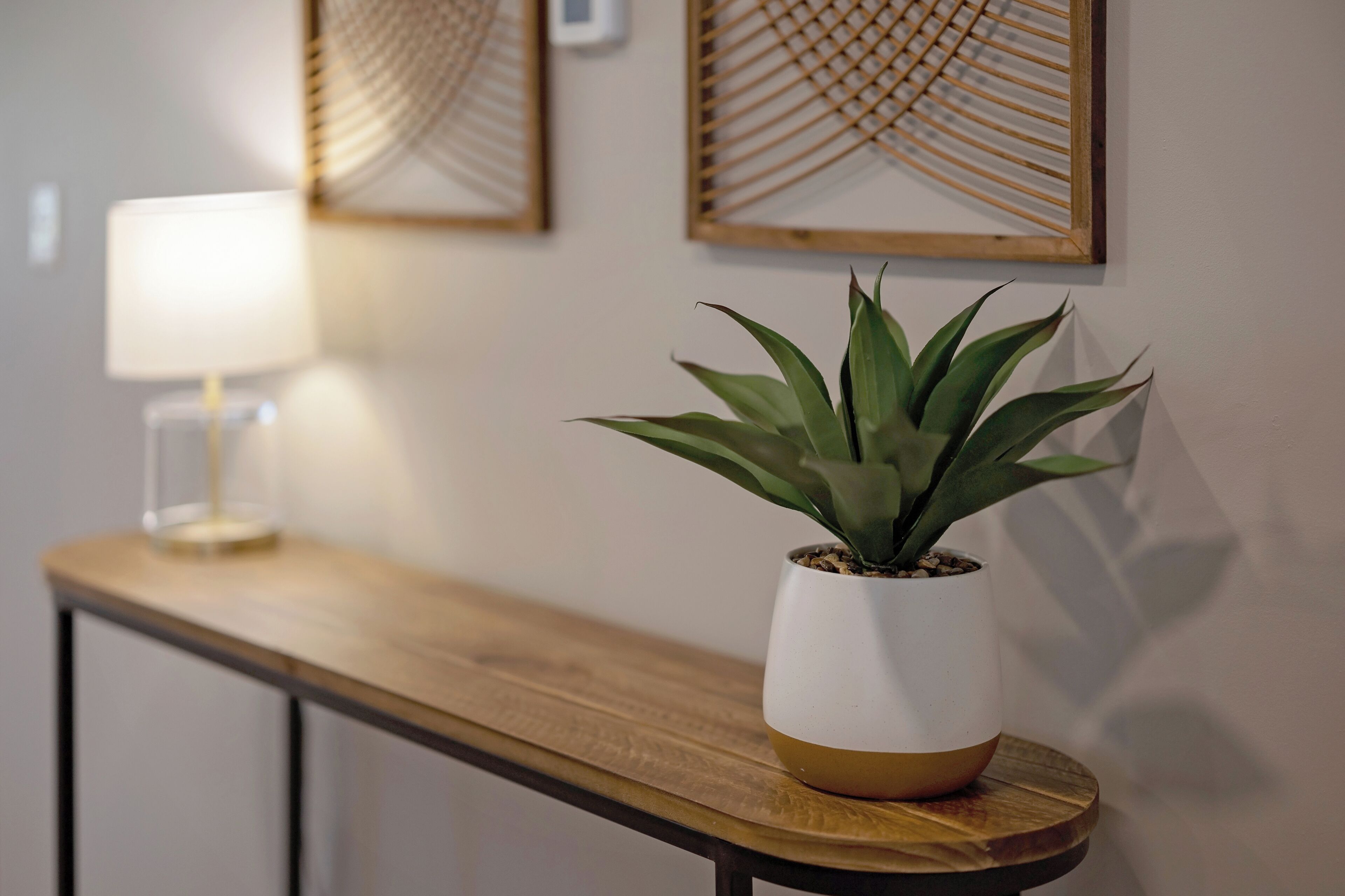 A potted plant on a wooden table with a lamp in the background.