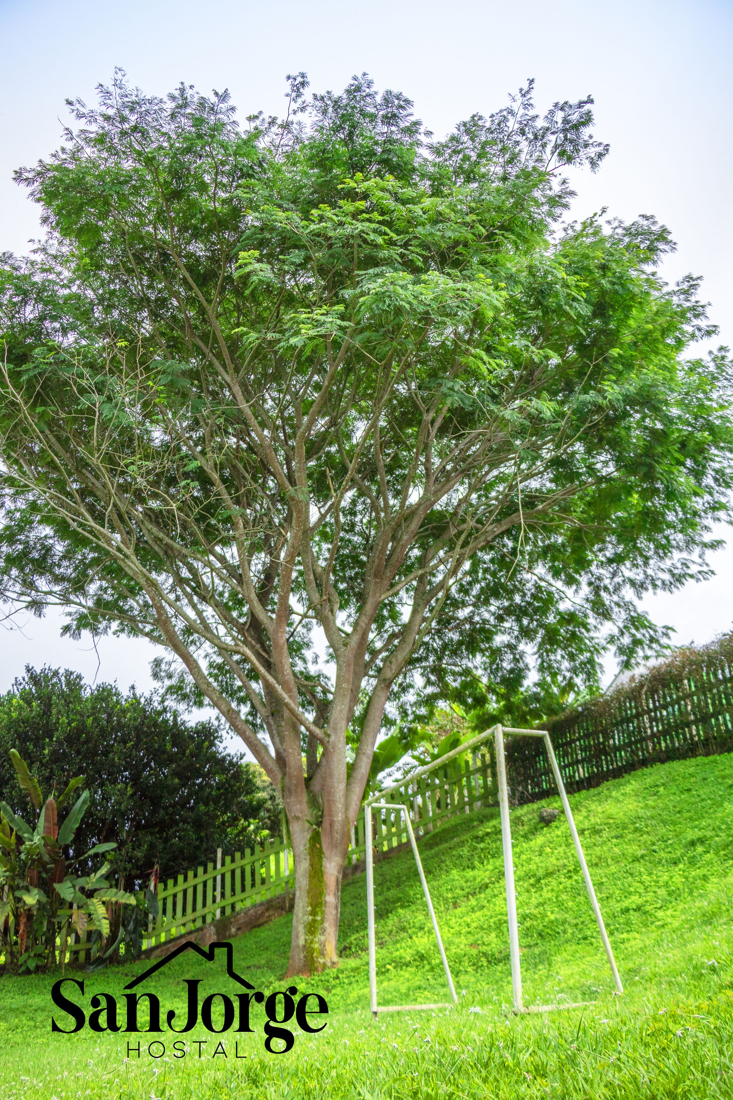 Photo - Hostal San Jorge