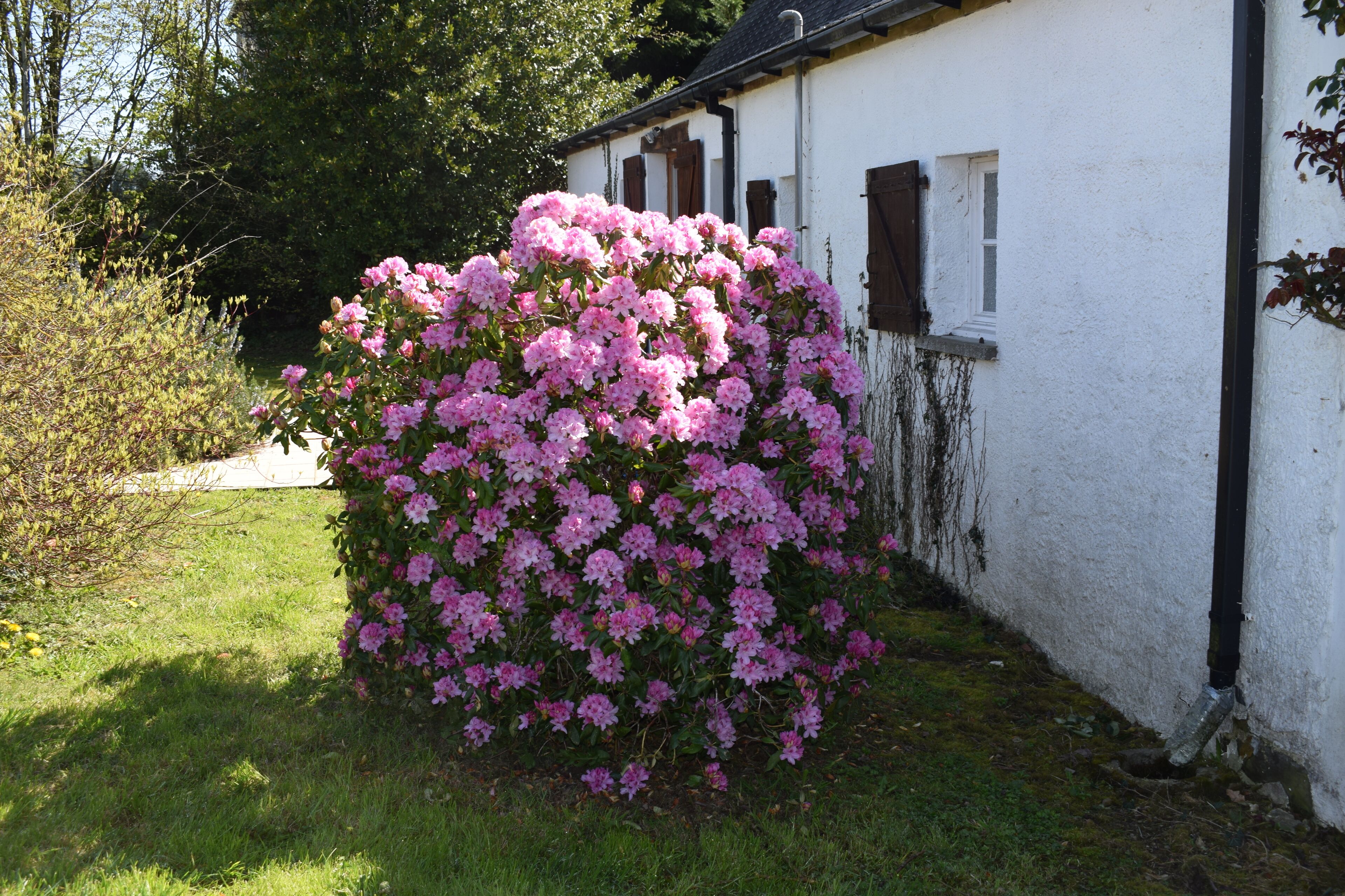 Terrein van de accommodatie