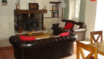 Télévision, cheminée, lecteur de DVD, table de tennis de table