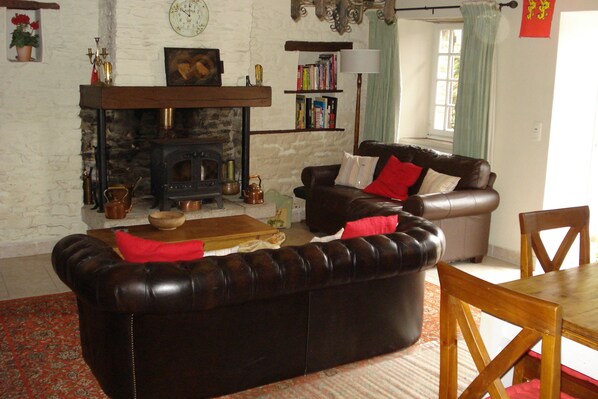 TV, fireplace, DVD player, ping pong