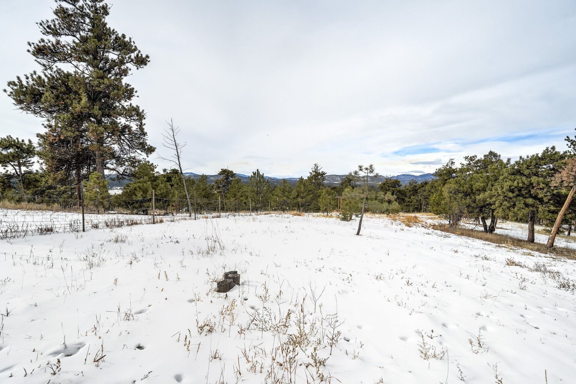 A snowy landscape with a fence, trees, and a distant mountain range.