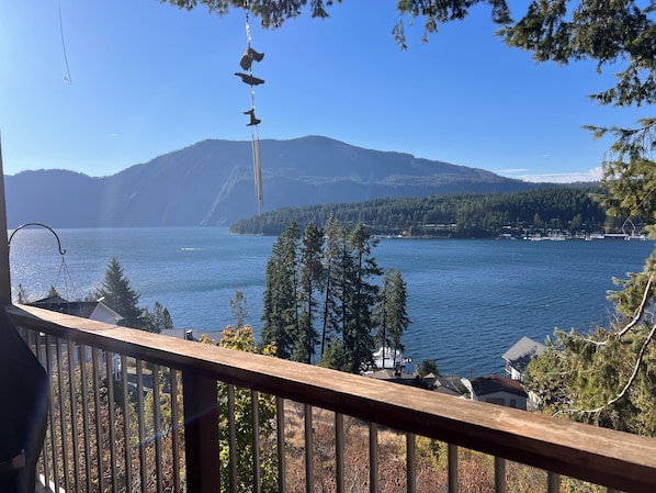 Property grounds - Bayview Beauty close to Silverwood theme Park. (Bayview)