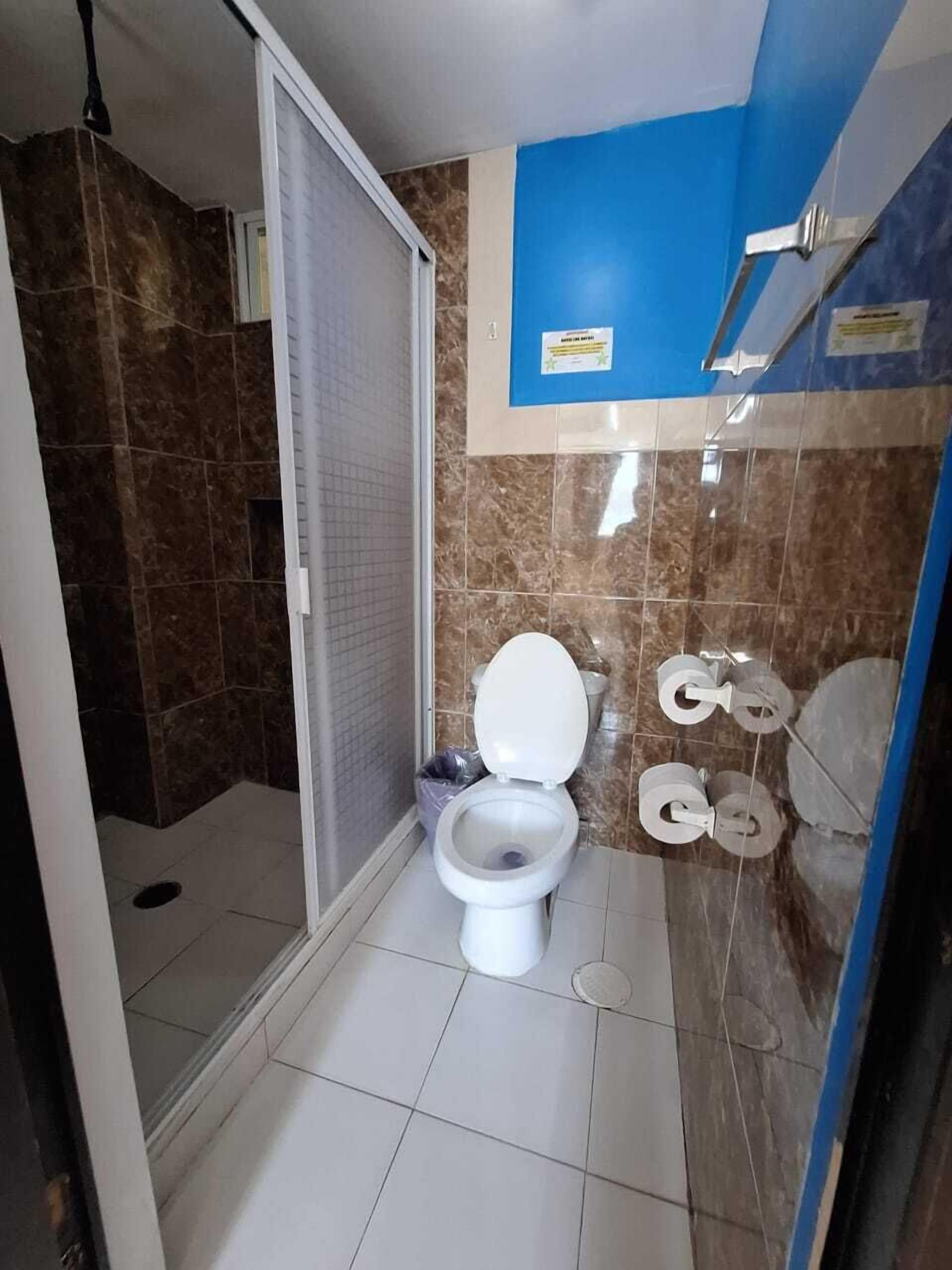 A bathroom with a toilet, shower, and blue wall.