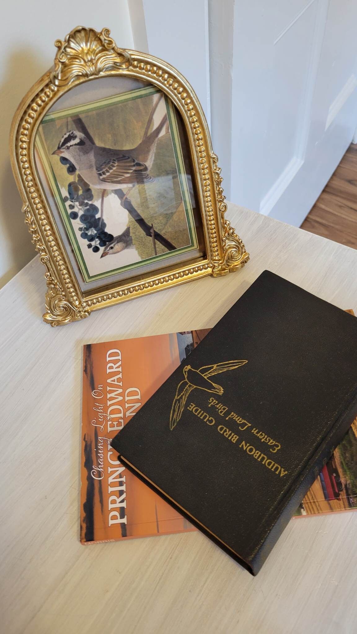 A framed painting of birds on a wooden table, a book titled "Chasing Light On Prince Edward Island," and another book with a bird illustration on its cover.