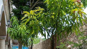A courtyard with stone flooring, white metal chairs, and a potted plant. - Casa Pakal (Valladolid)