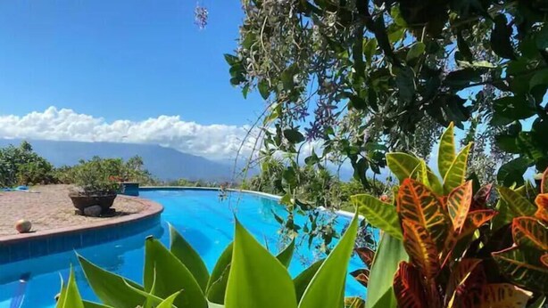Ein Pool, umgeben von üppigem Grün und blauem Himmel.