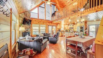 TV, fireplace, video games, DVD player
