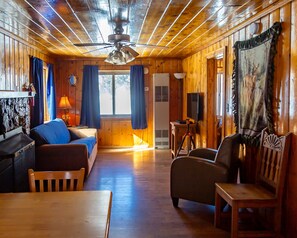 Televisión y chimenea