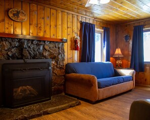 Televisión y chimenea