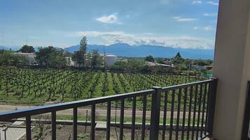 Vista del balcón