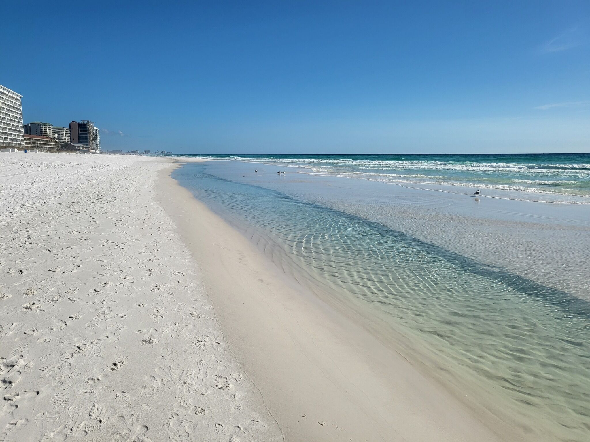 Seprai premium, bantalan ekstra lembut, dan didekorasi berbeda-beda