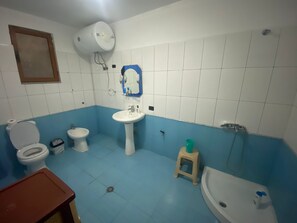 Shower, hair dryer, bidet, towels