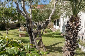 A garden with a wooden ladder, potted plants, and a palm tree.