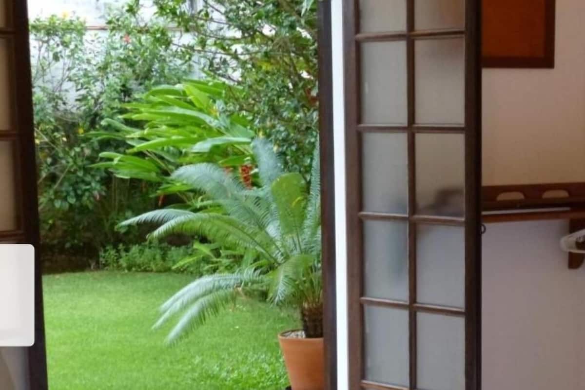 A room with a bed, a potted plant, and a view of a green garden.