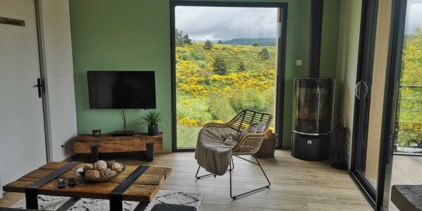 تلفزيون ذكي، مدفأة، مشغل دي في دي، كُتُب