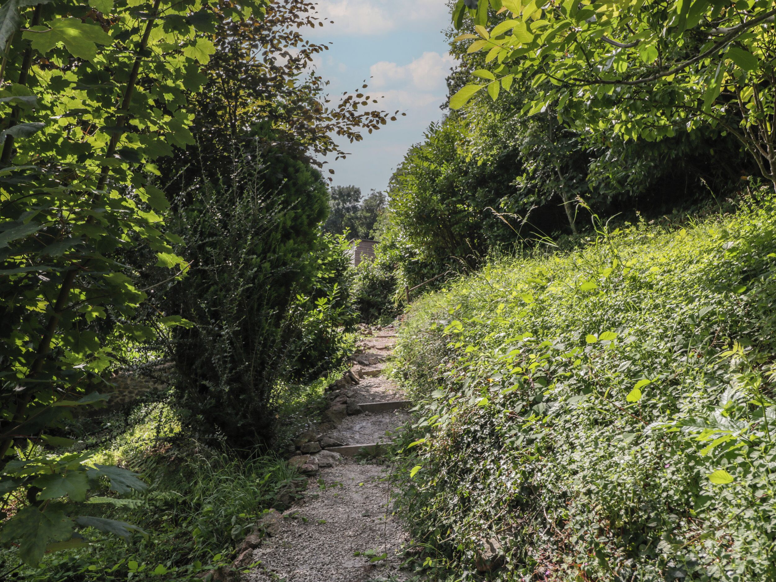 Ein schmaler Kiesweg, gesäumt von dichtem Grün und Sträuchern, der zu einer weit entfernten Struktur führt.