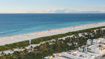A beach with a clear view of the ocean, a sandy shore, and a line of palm trees.