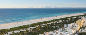 A coastal view with a beach, palm trees, and buildings.