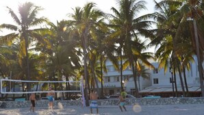 A beach volleyball game with palm trees and a building in the background. - 2B/2B, Free Parking, South Beach, 1 Block 2 Beach (South Beach)