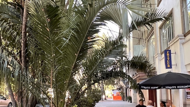 An outdoor cafe area with tables and chairs, surrounded by palm trees and a building with a sign reading "Fritur". - Condesa Residence Campeche 276 (Mexico City)