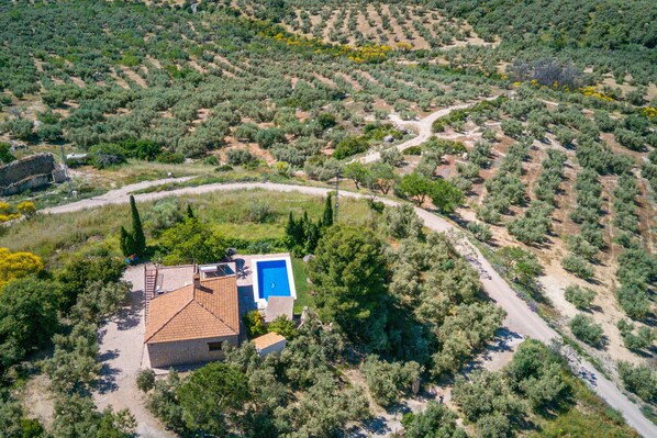 Une maison avec une piscine, entourée d’oliviers et bordée d’un chemin de terre.