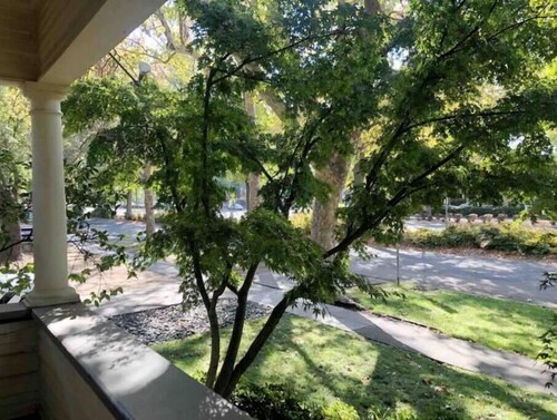 Fox Manor on Esplanade Guest Studio