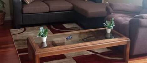 Fernseher