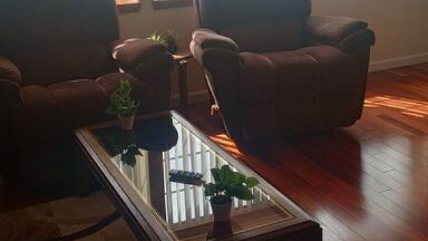 A living room with a brown leather sofa, a brown armchair, and a glass coffee table with plants.