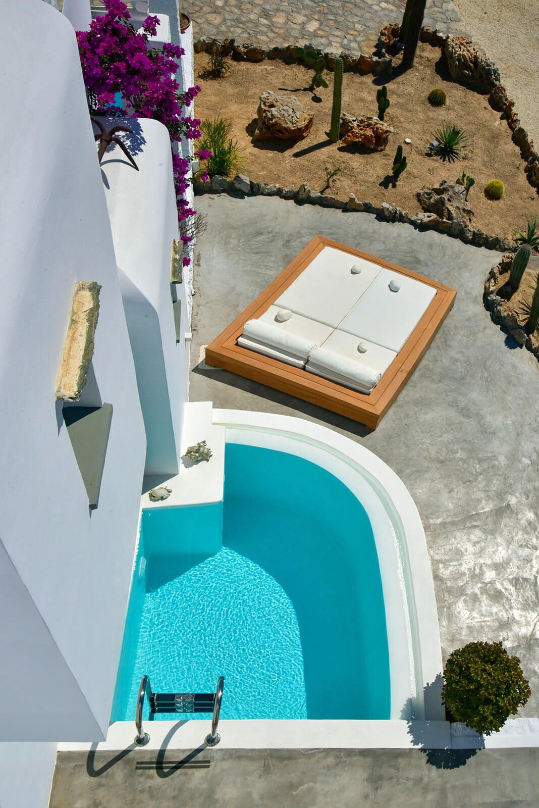 A pool with a sun lounger and a small garden area with cacti and flowers.