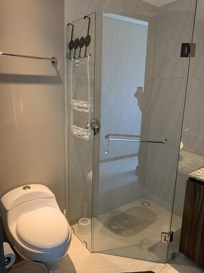 Chuveiro, toalhas de banho, papel higiênico 