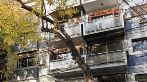 Un edificio de varios pisos con balcones, ventanas grandes y un árbol en primer plano.