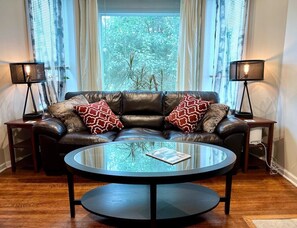 TV, lareira, videogames, DVD player