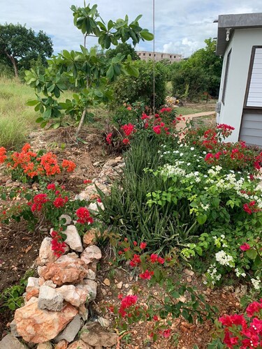 Charming tropical beach retreat Suite 1