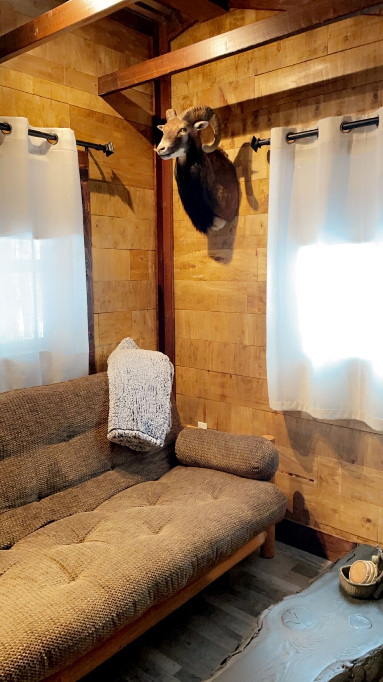 Une pièce chaleureuse avec un plafond en bois, un canapé et une tête d’animal empaillée accrochée au mur.