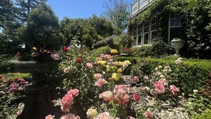 Un jardin agrémenté de rosiers et d  ’une fontaine, entouré d’un bâtiment doté d’un balcon.