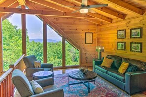 智能电视、壁炉、DVD 播放器