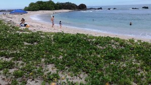 Uma praia com pessoas, um guarda-sol azul e algas marinhas em primeiro plano.