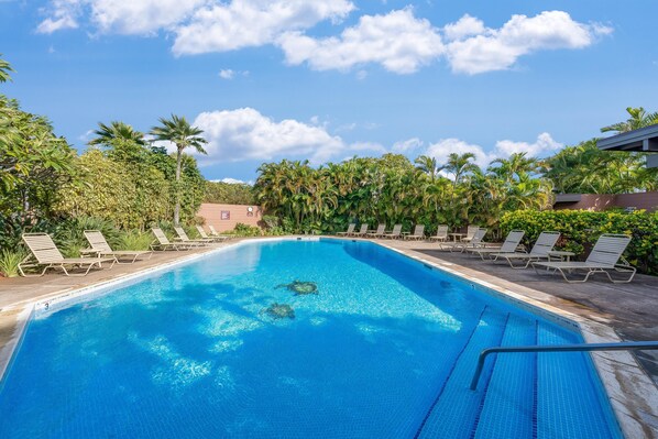 Apartment | 2 bedrooms, desk, Internet - Kapalua Ridge Villas 1423 (Lahaina)