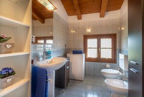 Shower, hair dryer, bidet, towels
