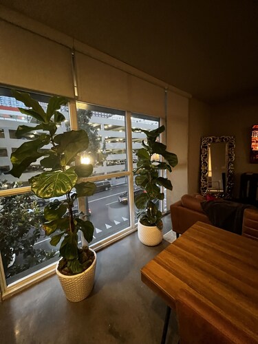 FULLY FURNISHED 1BR 1 BATH IN A LUXURY DTLA APARTMENT.