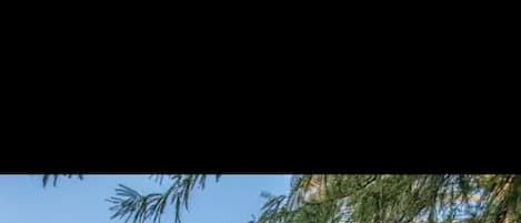 Alberca al aire libre y alberca climatizada