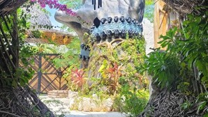Une structure architecturale unique, dotée d’une ouverture circulaire, entourée d’un feuillage dense et d’une grande variété de plantes.