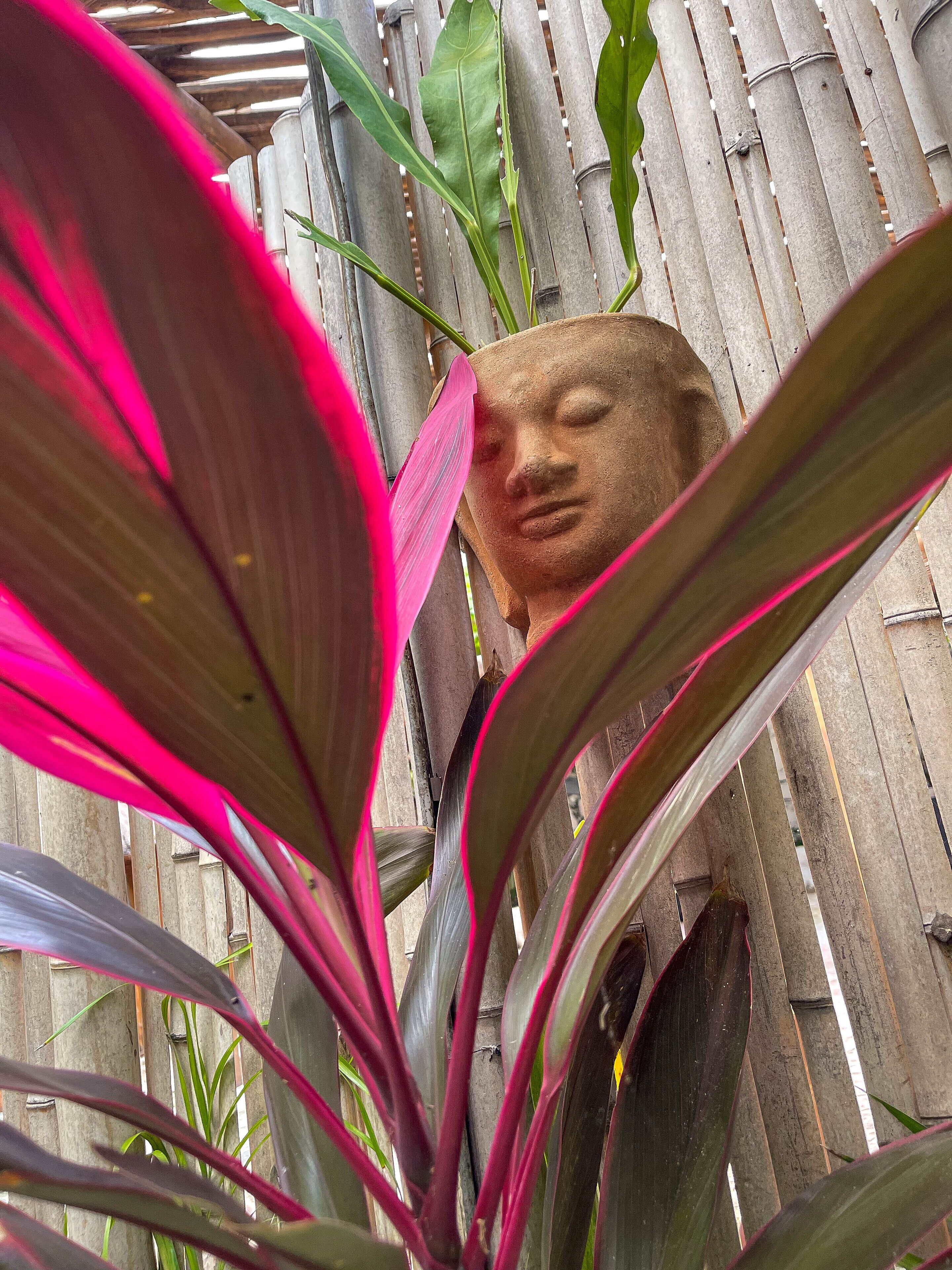 A stone Buddha statue partially obscured by large green leaves.